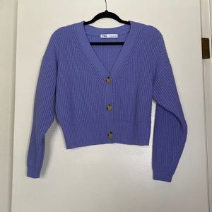 Zara cropped sweater